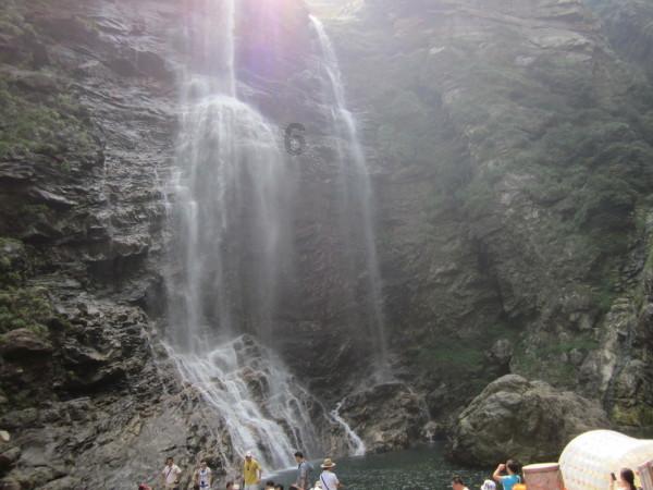 QQ企鹅